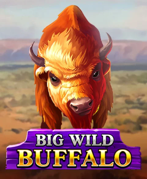 Play Big Wild Buffalo at Wager Web Casino